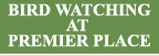 Bird Watching at Premier Place